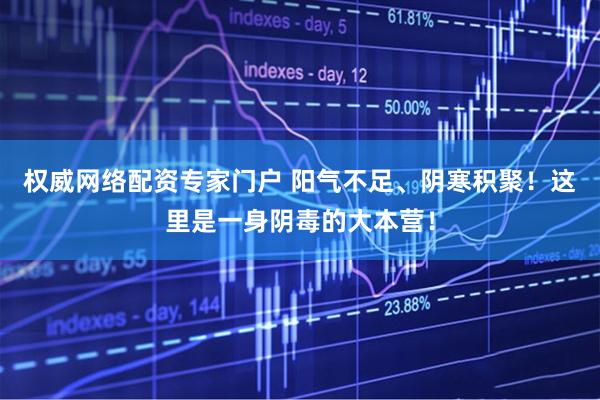 权威网络配资专家门户 阳气不足、阴寒积聚！这里是一身阴毒的大本营！