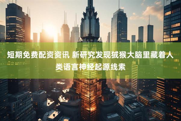 短期免费配资资讯 新研究发现狨猴大脑里藏着人类语言神经起源线索