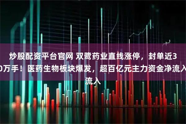 炒股配资平台官网 双鹭药业直线涨停，封单近30万手！医药生物板块爆发，超百亿元主力资金净流入