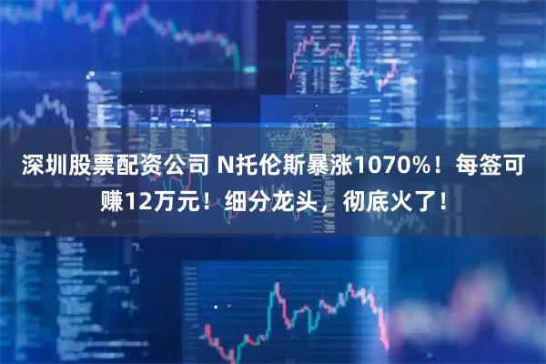 深圳股票配资公司 N托伦斯暴涨1070%!每签可赚12万元!细分龙头,彻底火了!